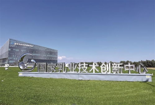 呼和浩特科創(chuàng)載體多點(diǎn)開花，技術(shù)開發(fā)賦能產(chǎn)業(yè)高質(zhì)量發(fā)展