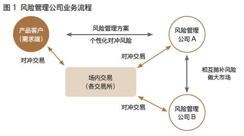 風(fēng)險管理公司 企業(yè)穩(wěn)健前行的戰(zhàn)略伙伴與風(fēng)險管理咨詢服務(wù)解析